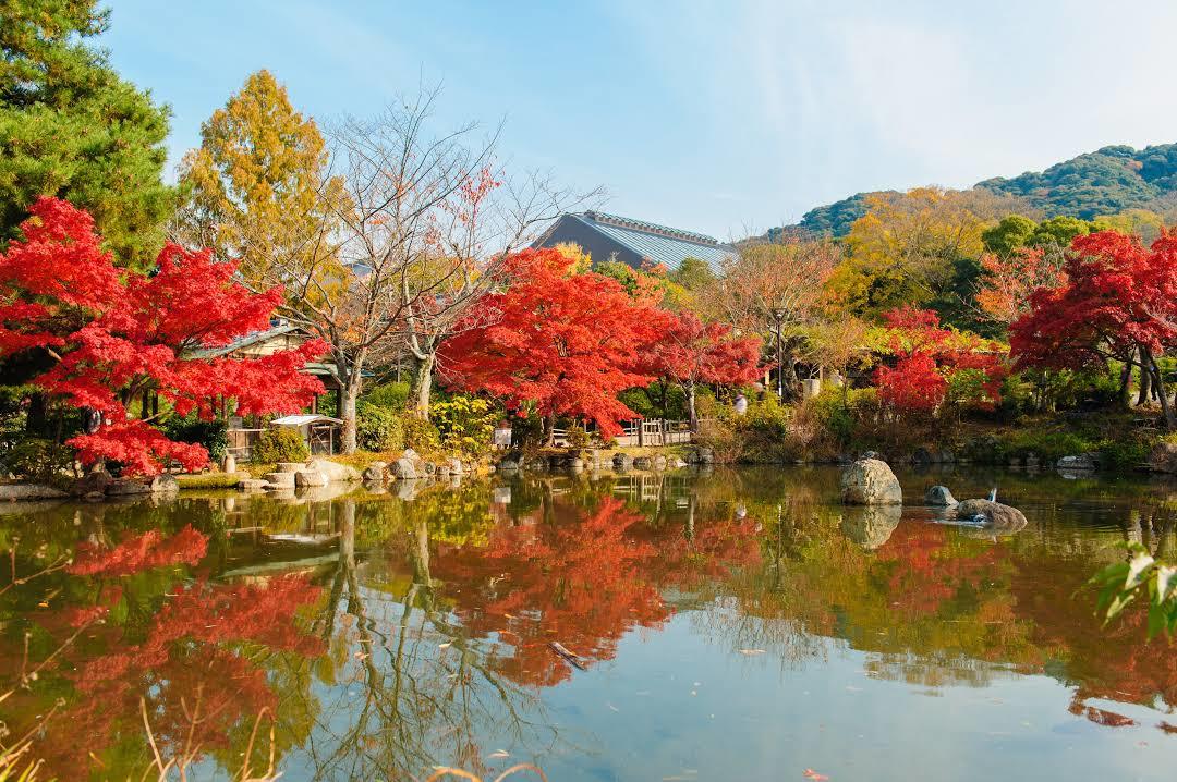 Maruyama Park